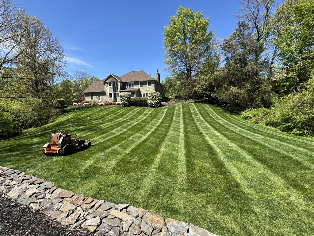 Freshly mowed lawn with mowing stripes maintained by Dutchess Lawns & Masonry