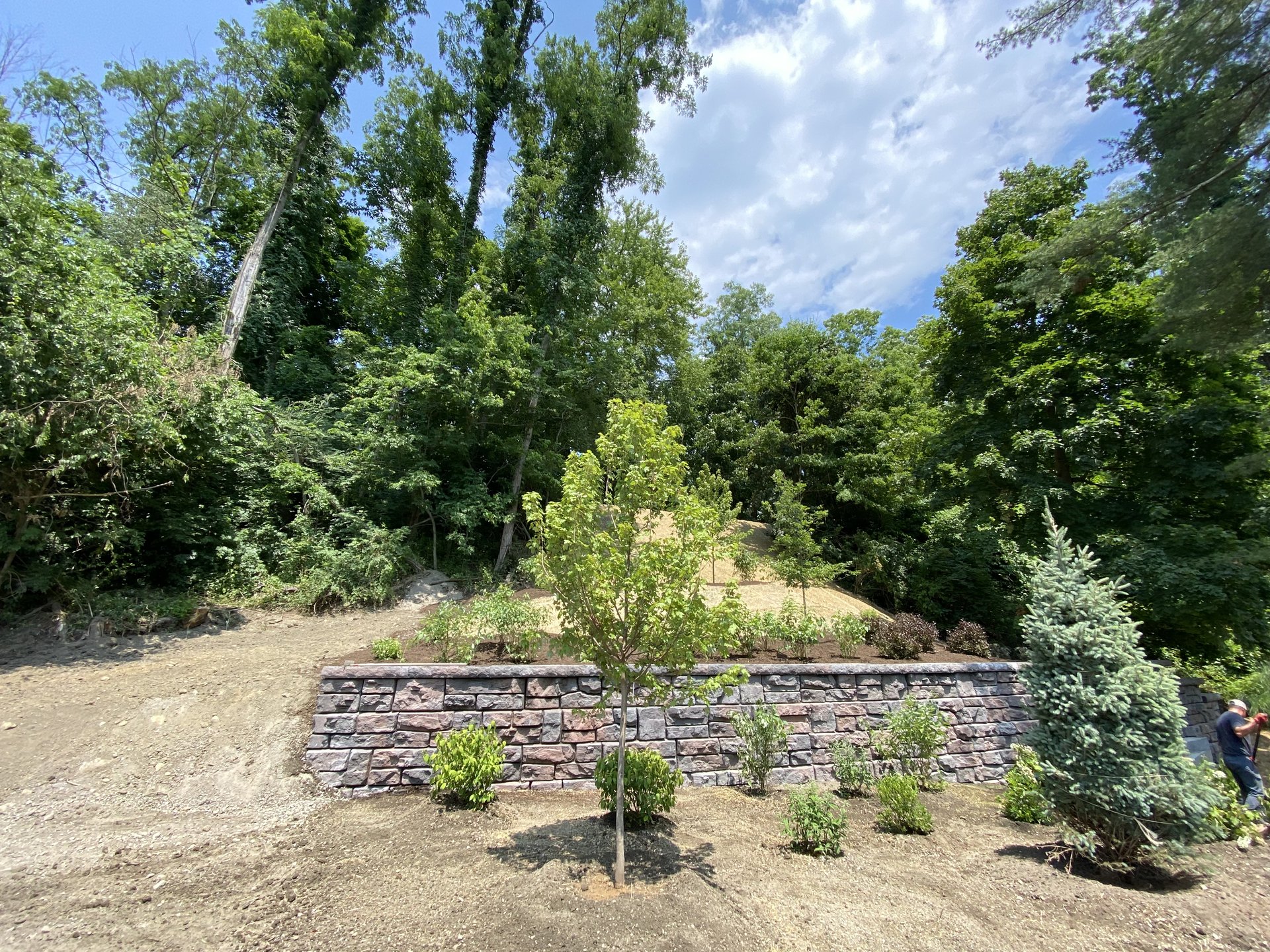 Stone retaining wall integrated with landscape plantings